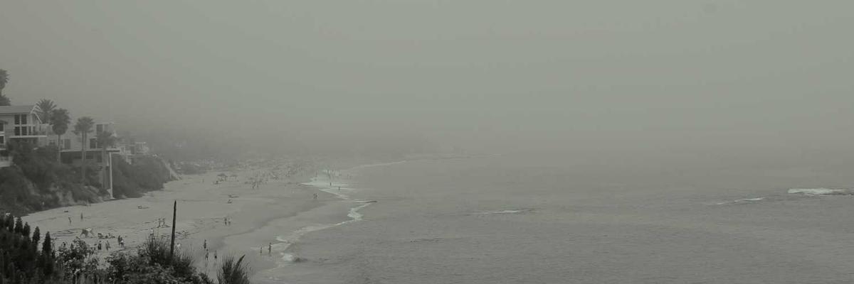 最新电视剧更新